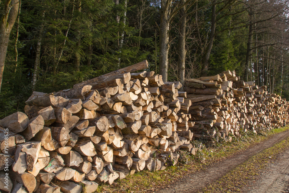 Log Stacks