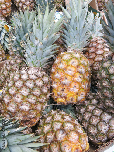 Ananas