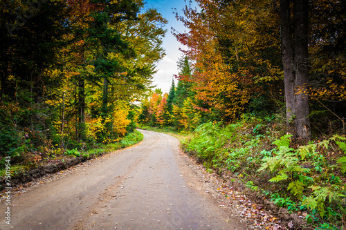 Autumn color along a dirt road in White Mountain National Forest
