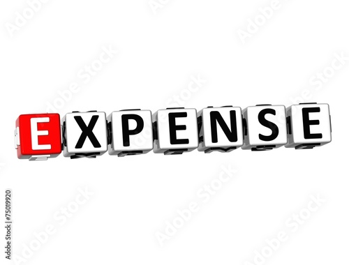 3D Word Expense on white background