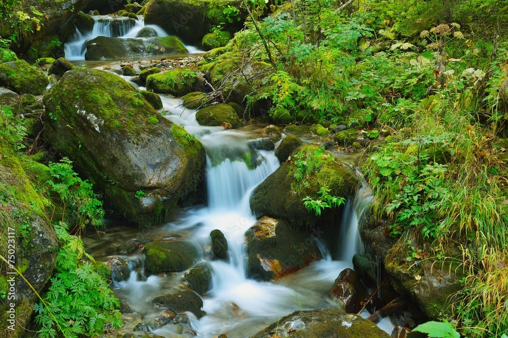 creek creek