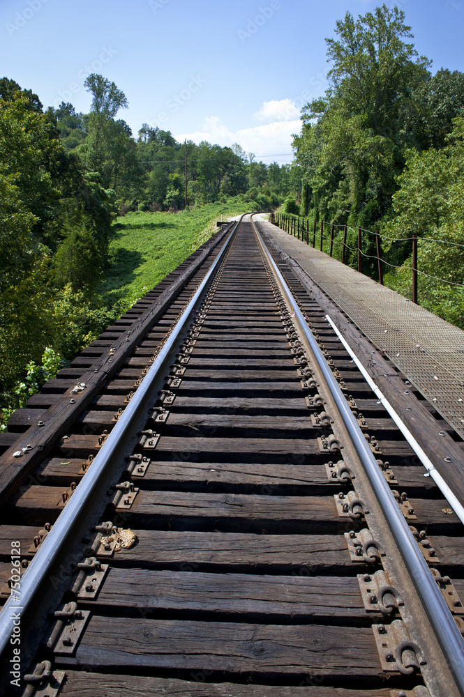 Train Tracks Through Tennessee Forest