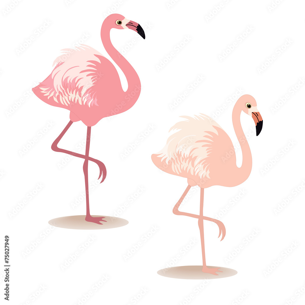 Obraz premium Para flamingów