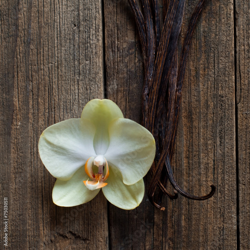 Vanilla sticks and flower on the wood background