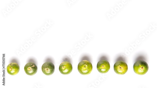 Принти на полотні Calamondin or calamansi lime over white background