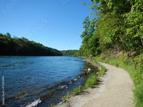 Walking trail near a river