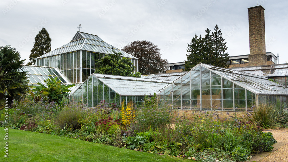 Old greenhouse in botanical garden Cambridge UK Old greenhouse in botanical garden Cambridge UK
