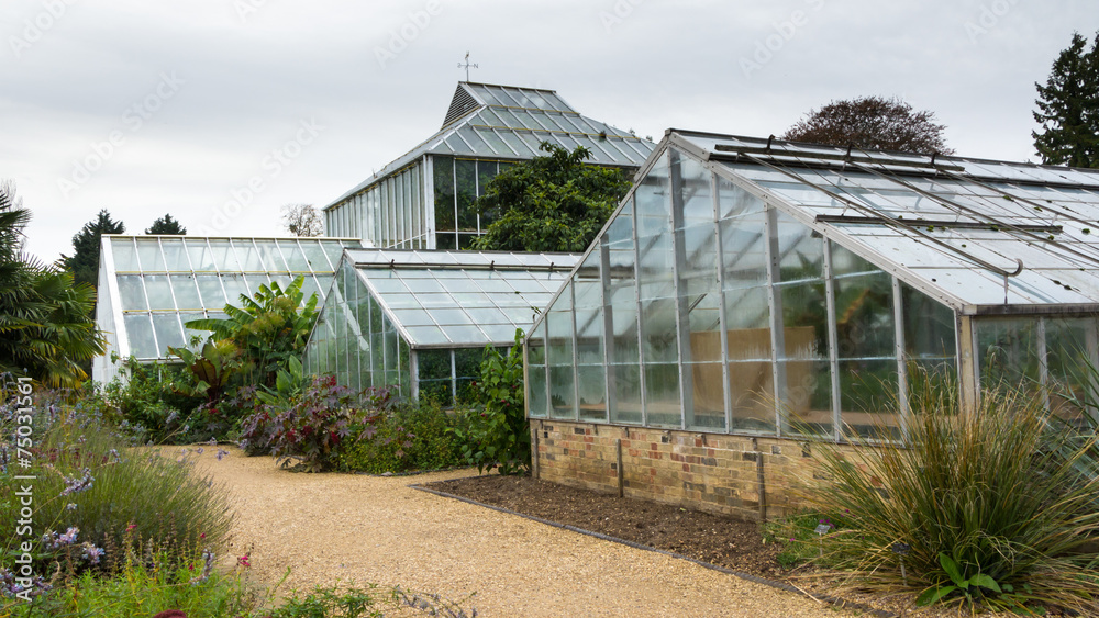 Old greenhouse in botanical garden Cambridge UK Old greenhouse in botanical garden Cambridge UK