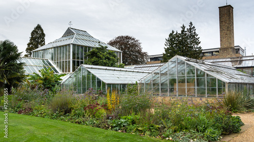 Old greenhouse in botanical garden Cambridge UK