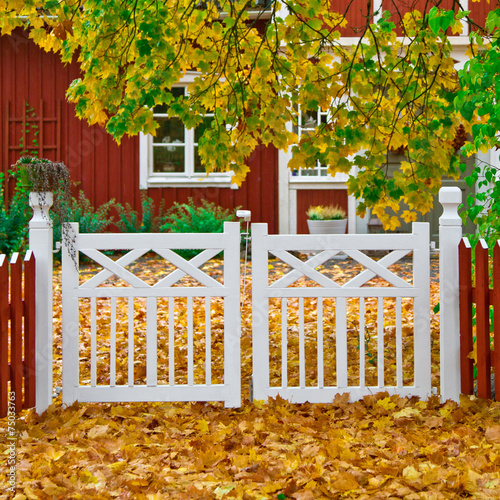 Garden in autumn