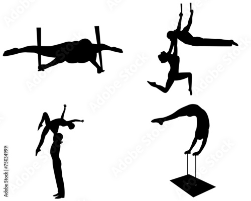 aerialists