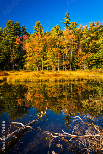 Fototapeta Naklejka Na Ścianę i Meble -  Red Eagle Pond, in White Mountain National Forest, New Hampshire