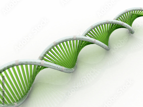 DNA in 3d