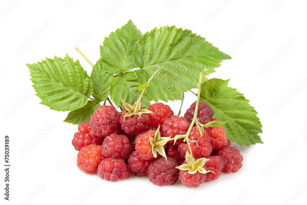 raspberries raspberries