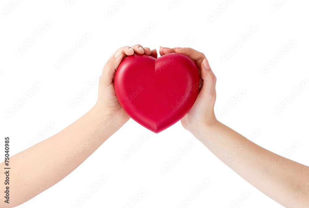 Heart in hands isolated on white background Heart in hands isolated on white background