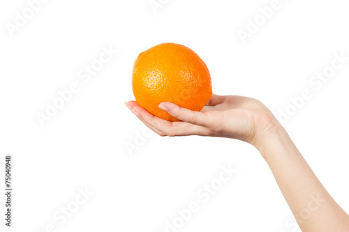 Woman's hand holding orange on white background