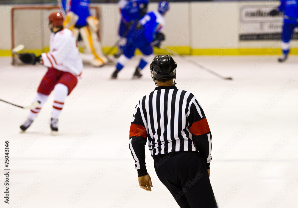 Fototapeta premium ice hockey referee