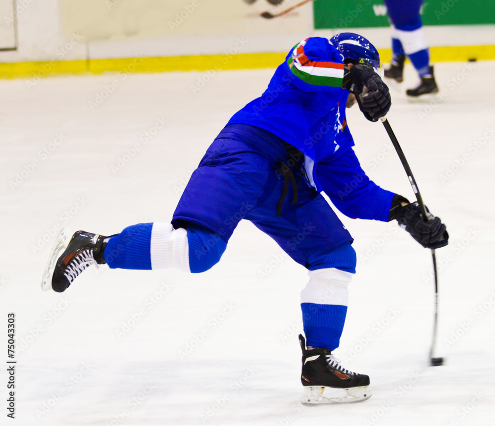 Obraz premium ice hockey player