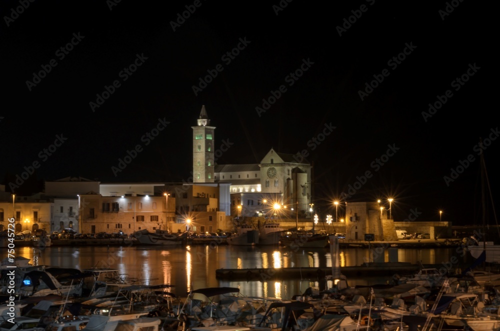 Trani cathedral in night sky from the marina