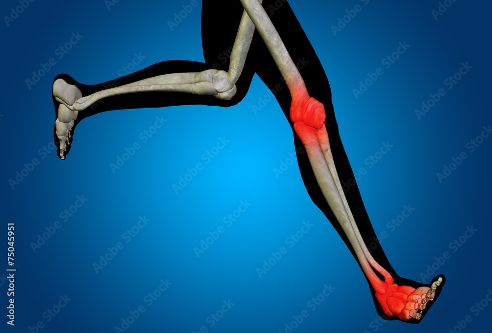 Conceptual human body anatomy pain on blue Stock Illustration Adobe Stock