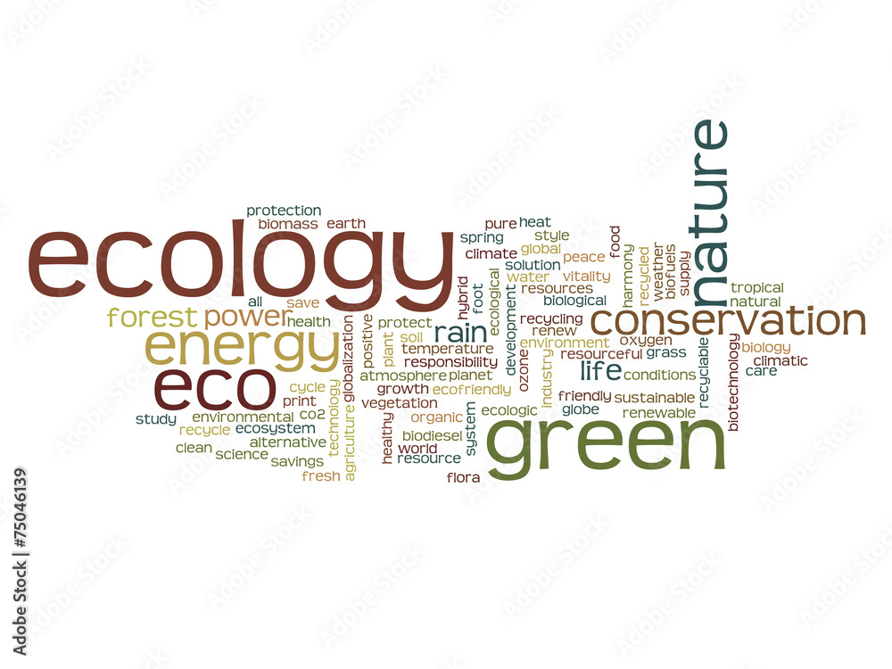 Conceptual ecology word cloud Conceptual ecology word cloud