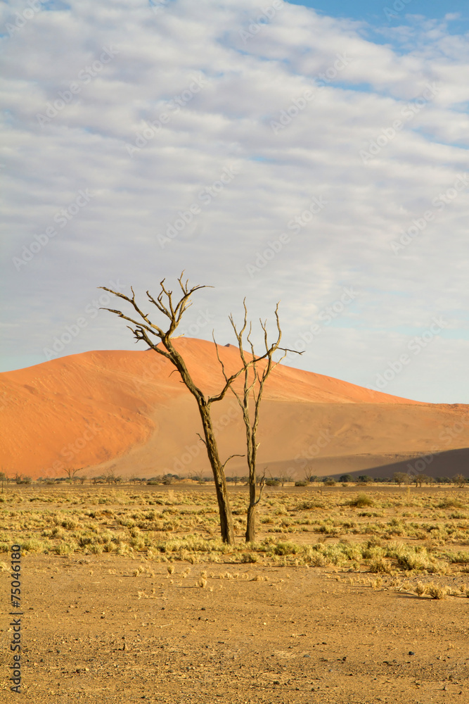 Sossusvlei park, Namibia