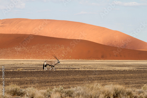 Sossusvlei park  Namibia