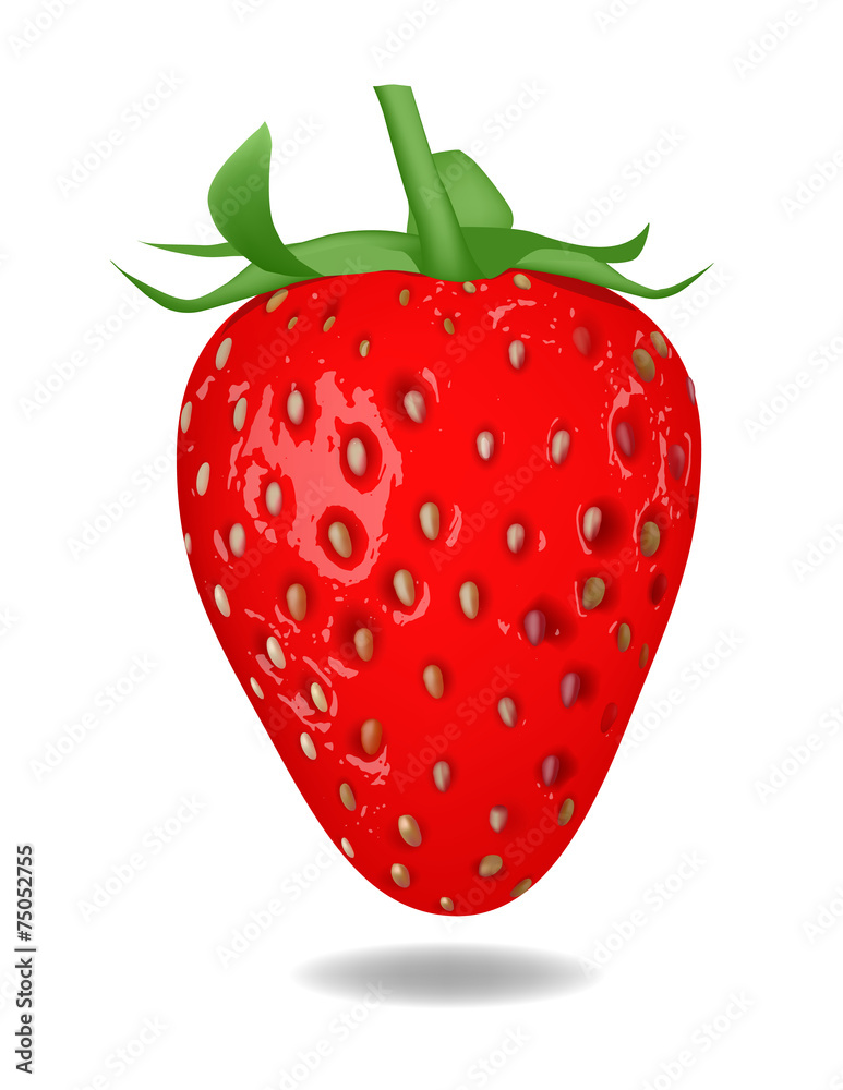 Red strawberry isolated on white background Red strawberry isolated on white background
