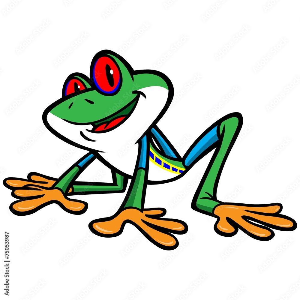 Fototapeta premium Tree Frog