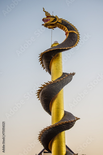 Dragon pillars © watcharapol