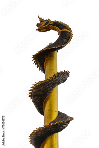 Dragon pillars © watcharapol