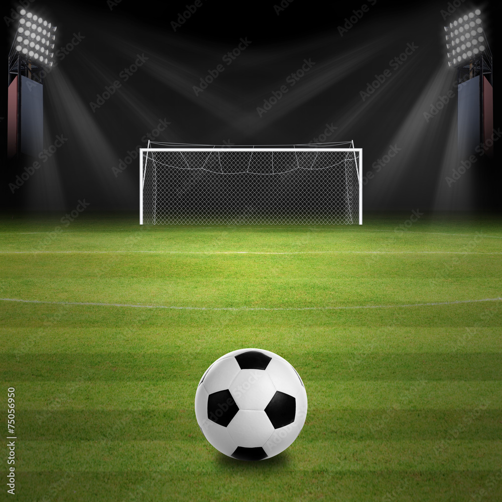 Fototapeta premium Boisko do piłki nożnej