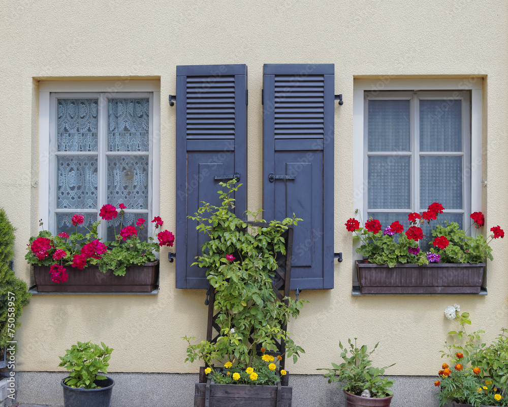 picuresque windows and flowers, Altenburg, Germany