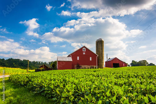 Beautiful farm field and barn on a farm near Spring Grove, Penns photo