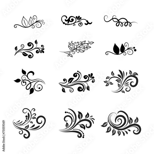 Vector Calligraphic Floral Design Elements
