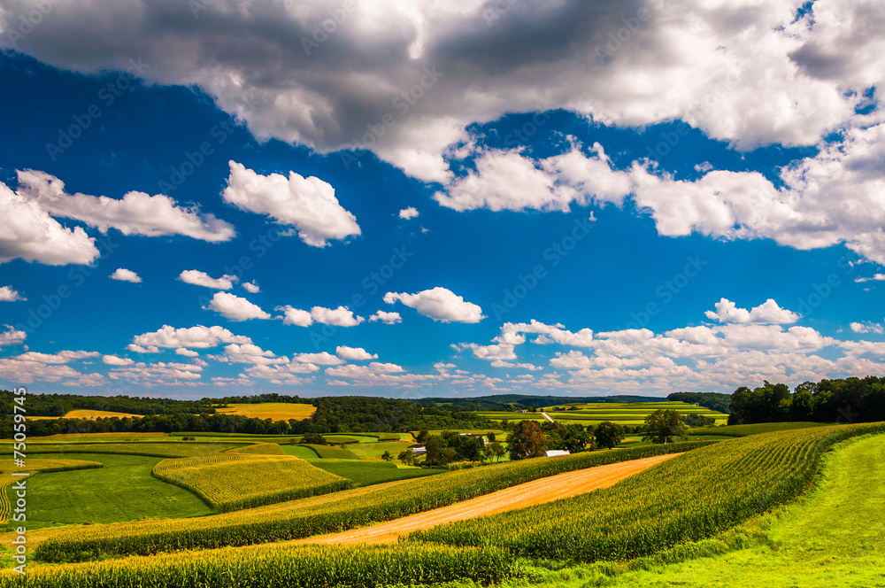 Beautiful summer clouds over rolling hills and farm fields in ru