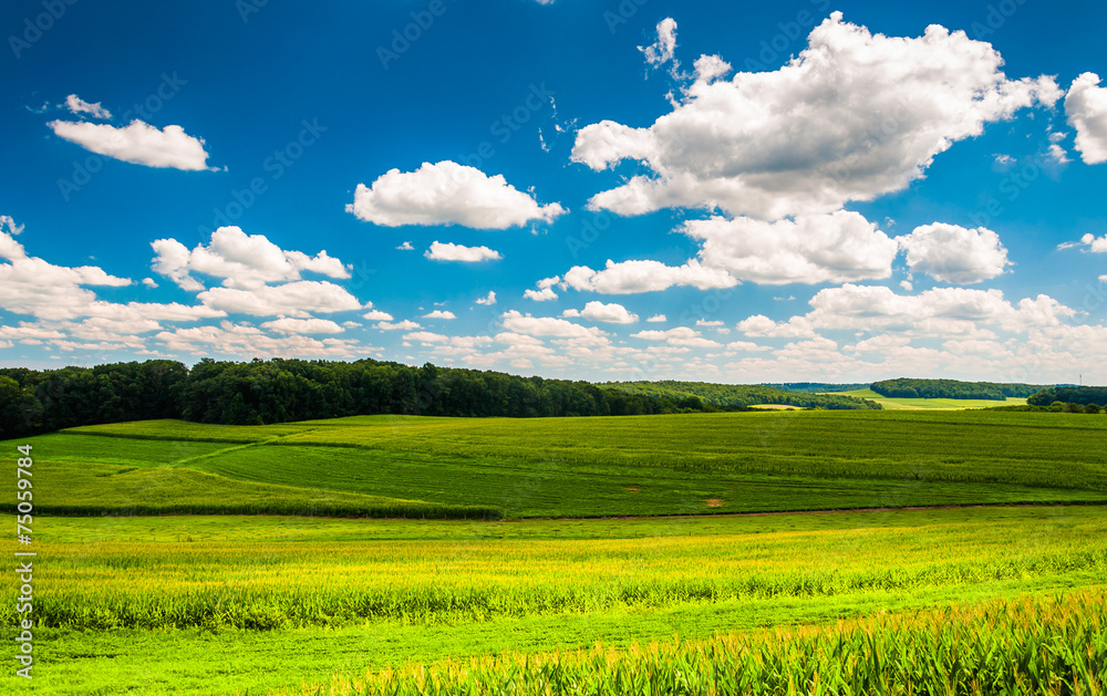 Beautiful summer clouds over fields and rolling hills in Souther