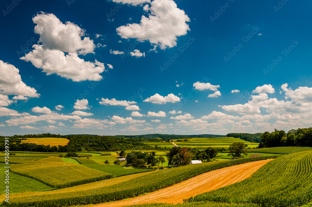 Beautiful summer clouds over rolling hills and farm fields in ru