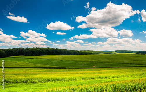Beautiful summer clouds over fields and rolling hills in Souther