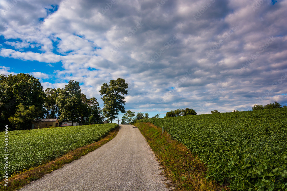 Cloudy sky over a country road and farm fields near Cross Roads,
