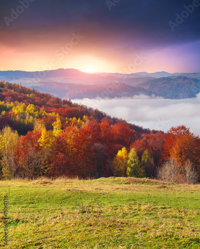 Colorful autumn morning in the Carpathian mountains.