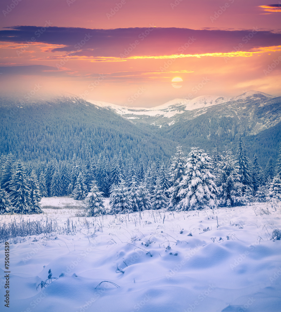 Colorful winter sunrise in the foggy mountains.