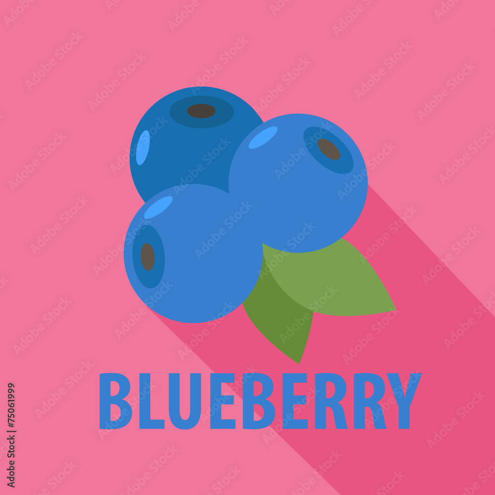 blueberry icon in flat design with long shadows blueberry icon in flat design with long shadows