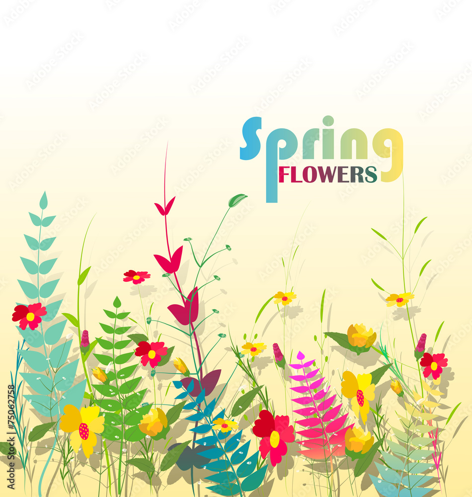spring with flower spring with flower