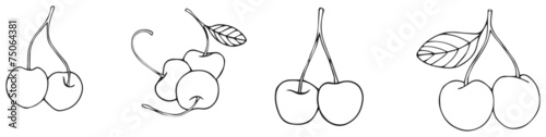 Delightful garden - cherries 1
