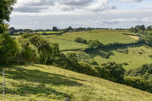 lush countryside near Liskeard, Cornwall photo