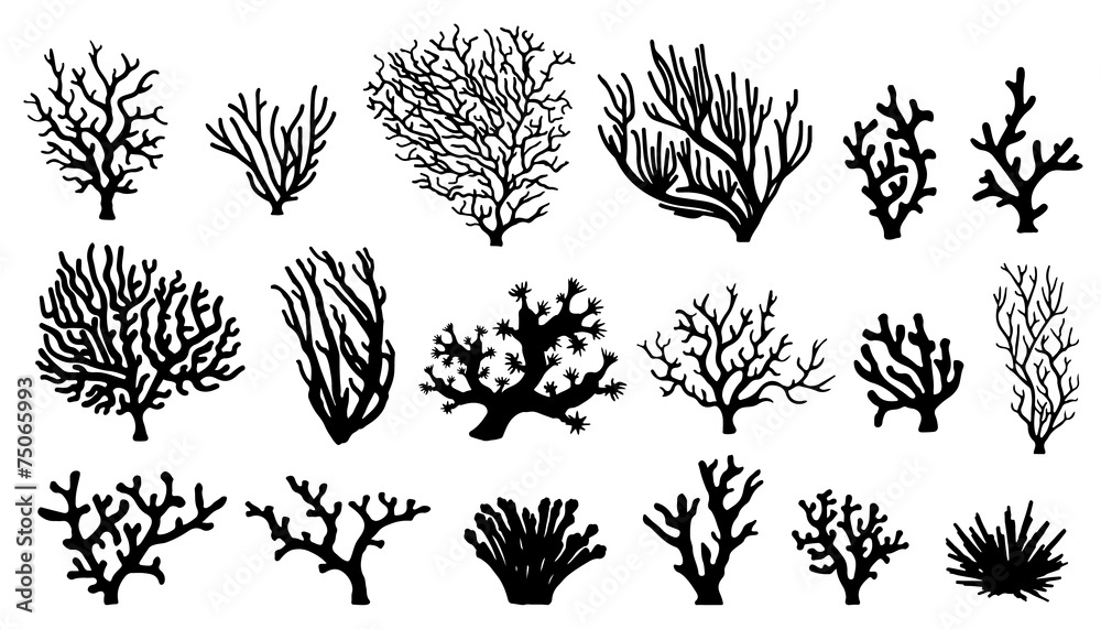 Obraz premium sylwetki koralowców