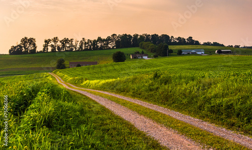 Dirt road and farm fields in rural Southern York County, Pennsyl photo