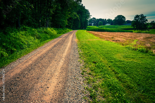 Fototapeta Naklejka Na Ścianę i Meble -  Dirt road in the rural countyside of Southern York County, Penns