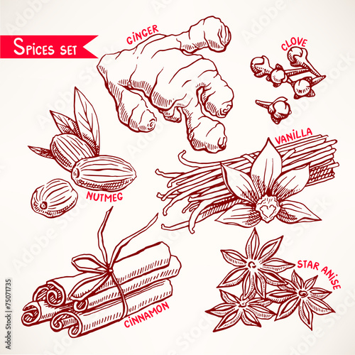 Set with spices